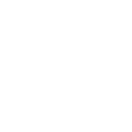 Icon1